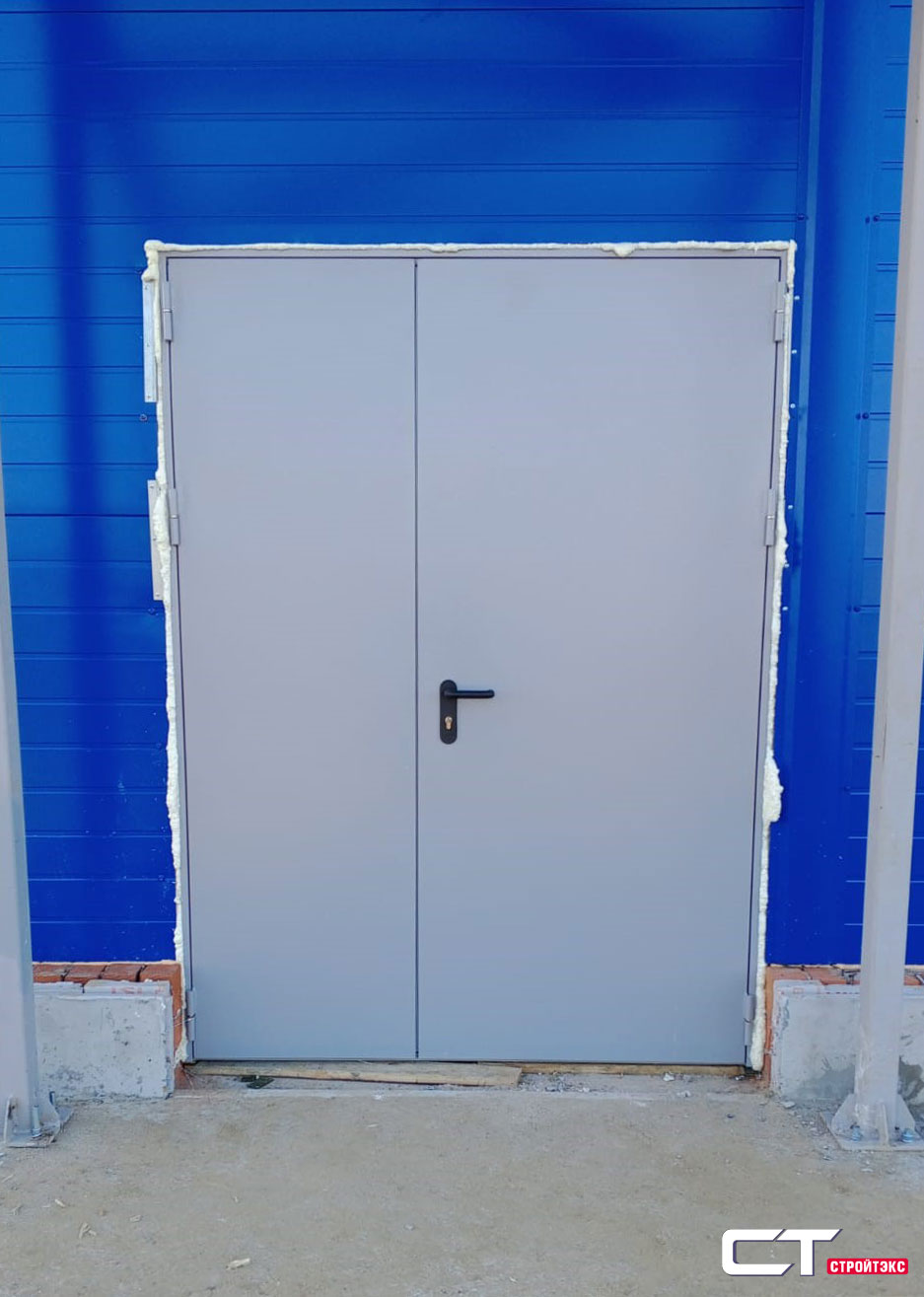 Дверь противопожарная металлическая EIS60 двупольная глухая 1300х2100